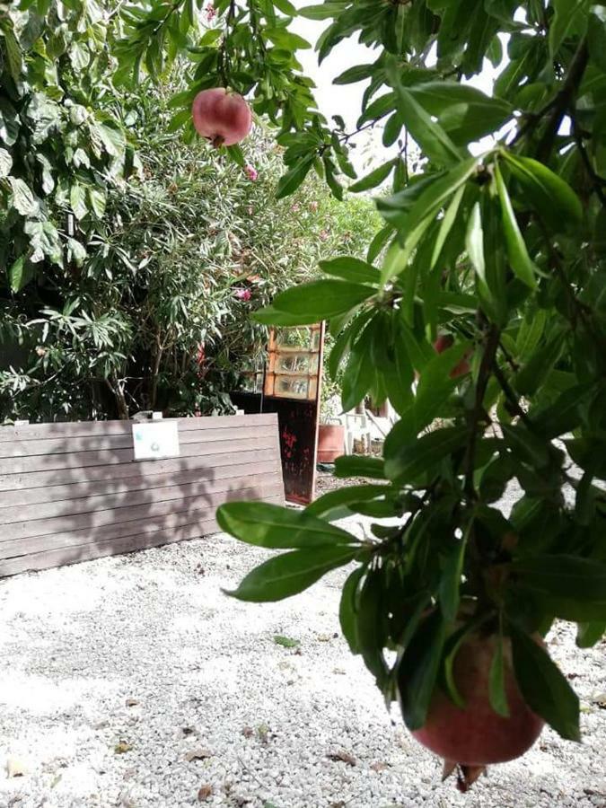 卡西卡斯 洛克桑德拉旅馆酒店 外观 照片